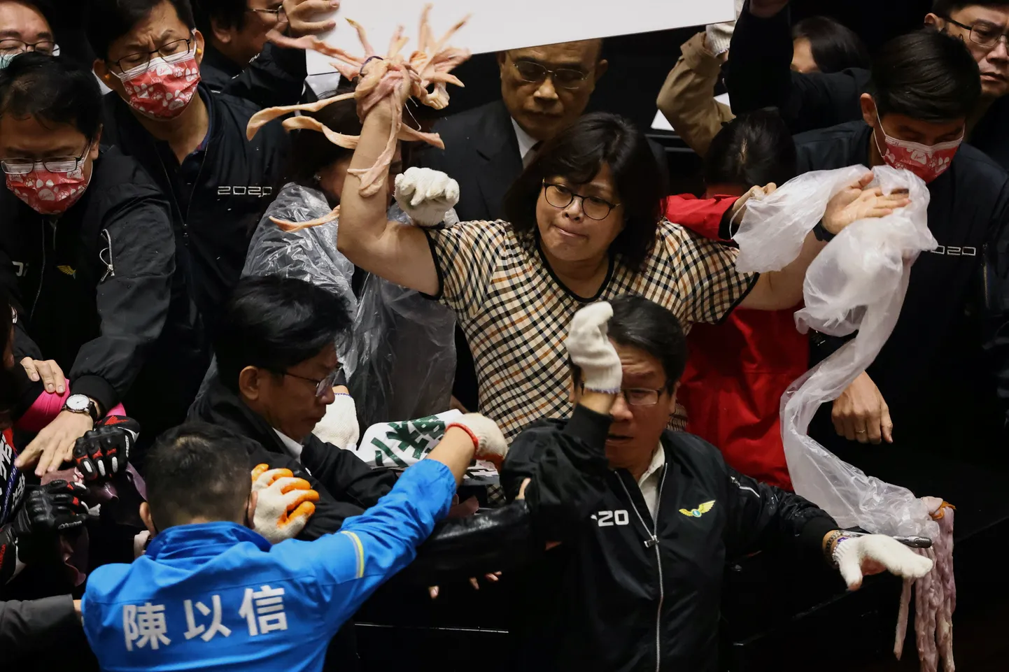 Taipeis lendasid parlamendiistungil sigade sisseelundid.