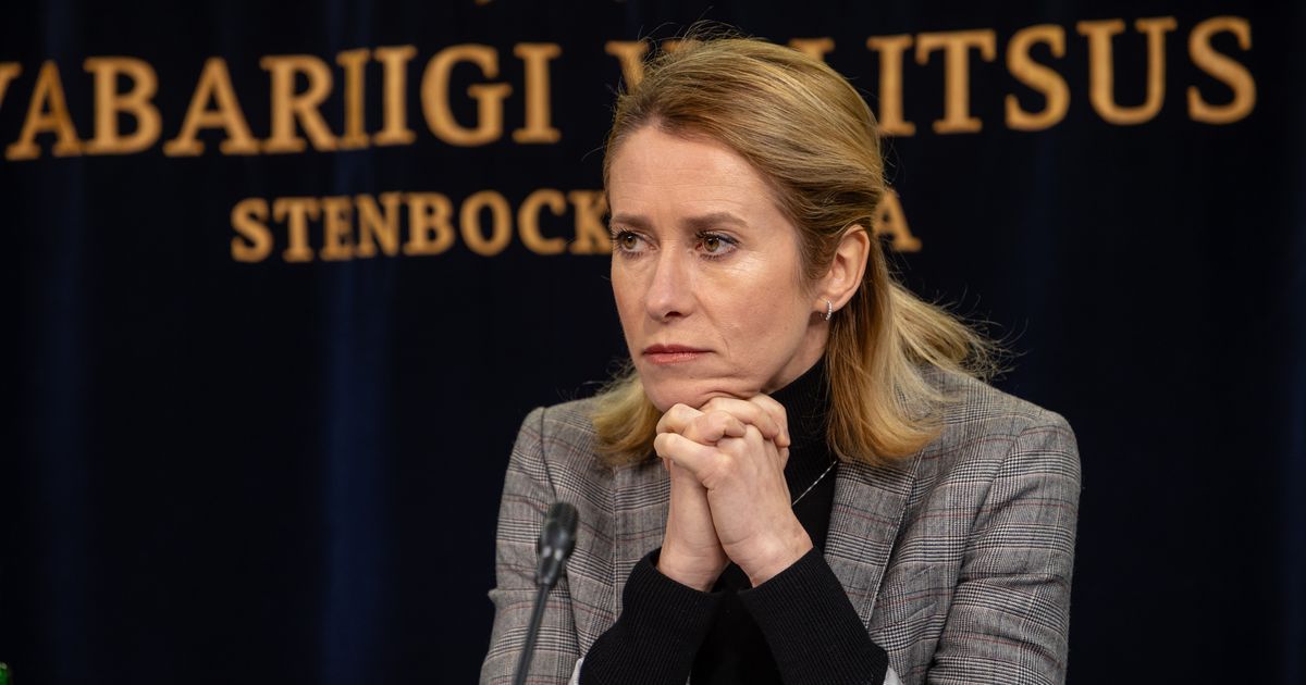 Kaja Kallas keeldub isiklikult vastutamast ettevõtja kohta öeldu eest (5)