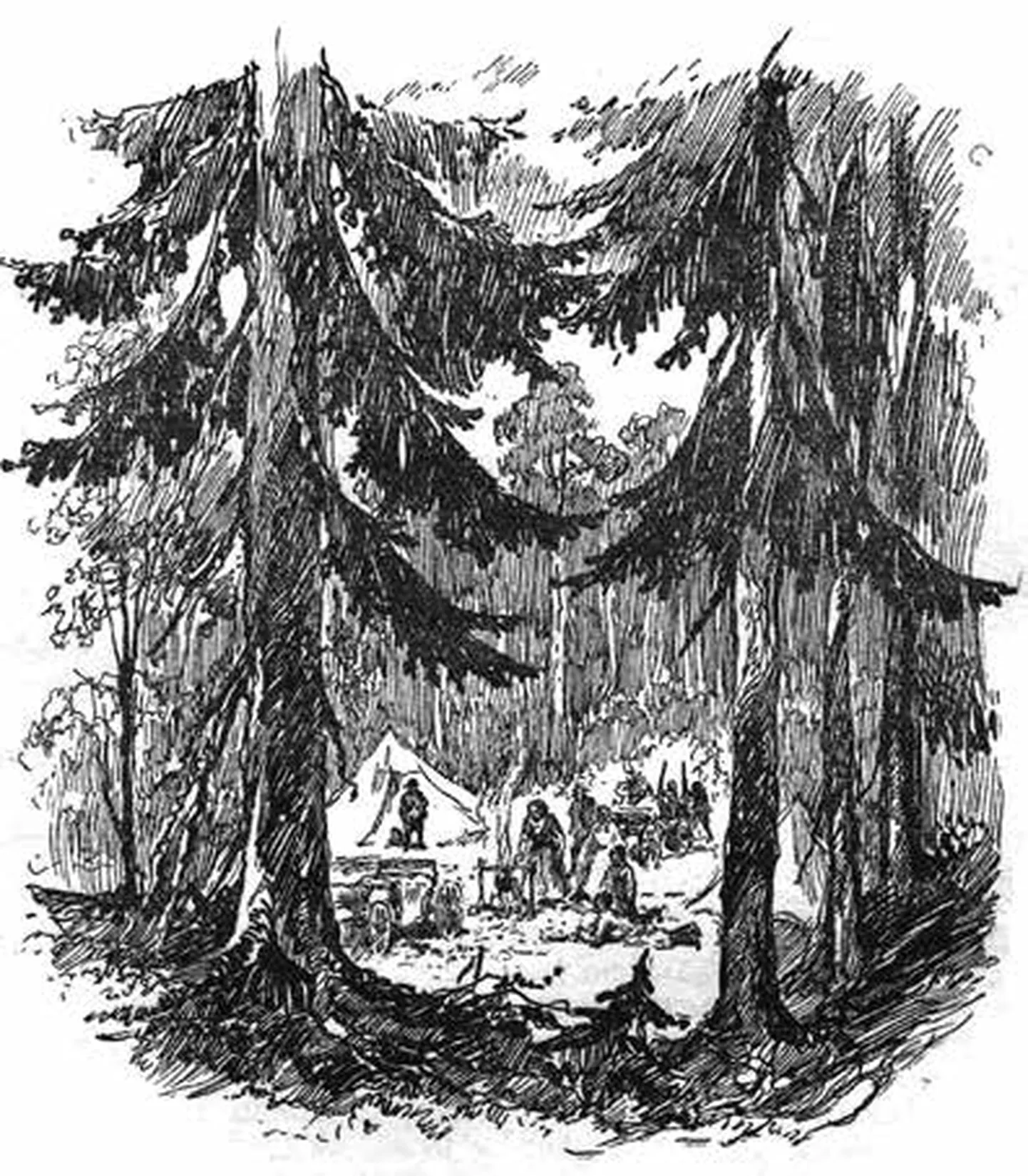 Teoses on Läti kunstniku Kārlis Krauze originaalillustratsioonid.