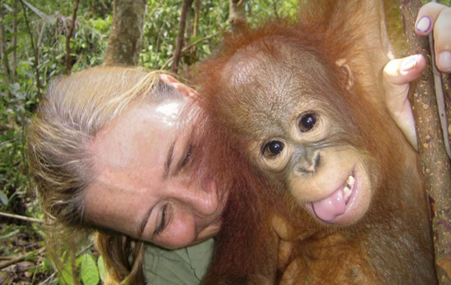 Kaader filmist "Mu elu koos orangutanidega".