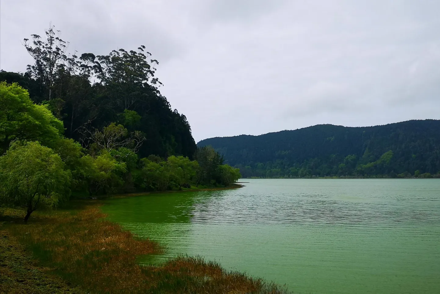 Furnasi roheline järv.