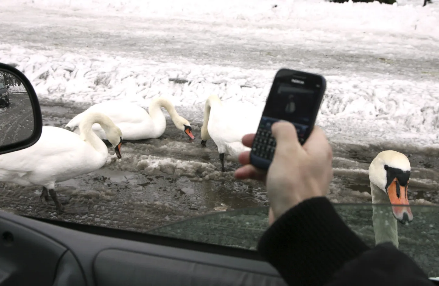 Halva ilmaga teele jäädes on mobiil abiks.