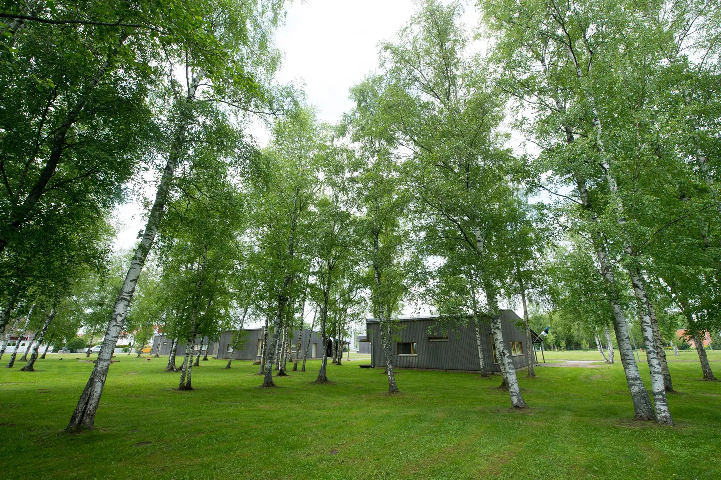 Tallinna lastekodu Maarjamäe keskus oli esimene, kus valmisid eurorahade 
toel ehitatud peremajad.