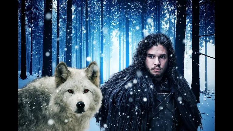 Jon Snow ( Kit Harington) ja ürghunt Ghost