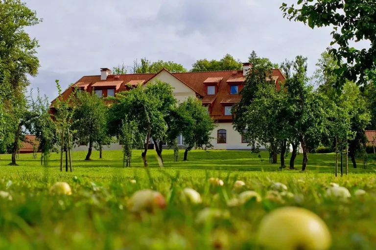 Kalnmuižas pils