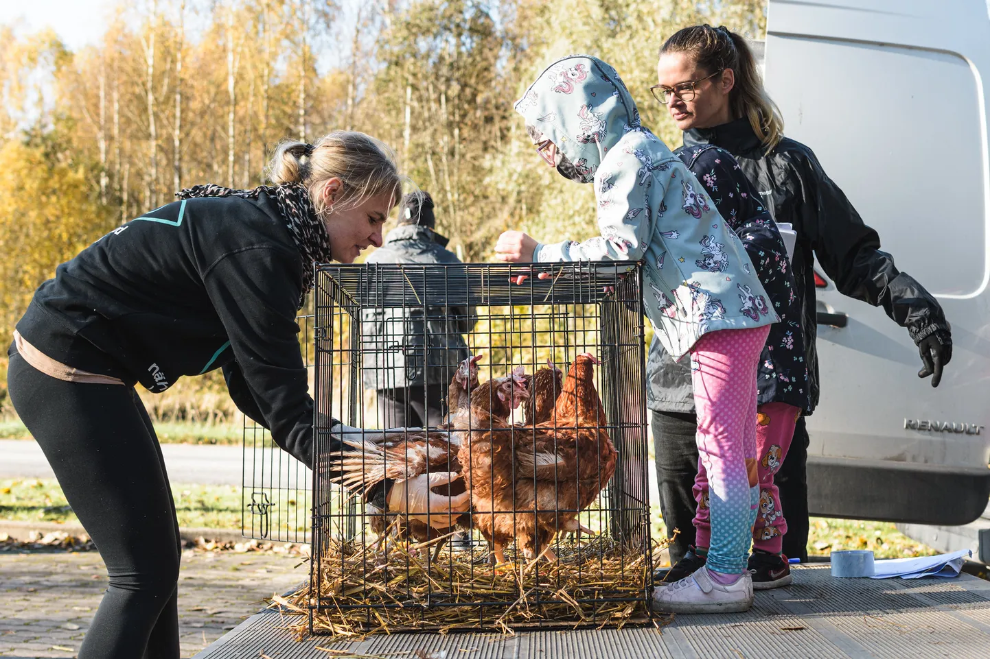 Organisatsioon leidis kanadele uued head kodud üle Eesti.