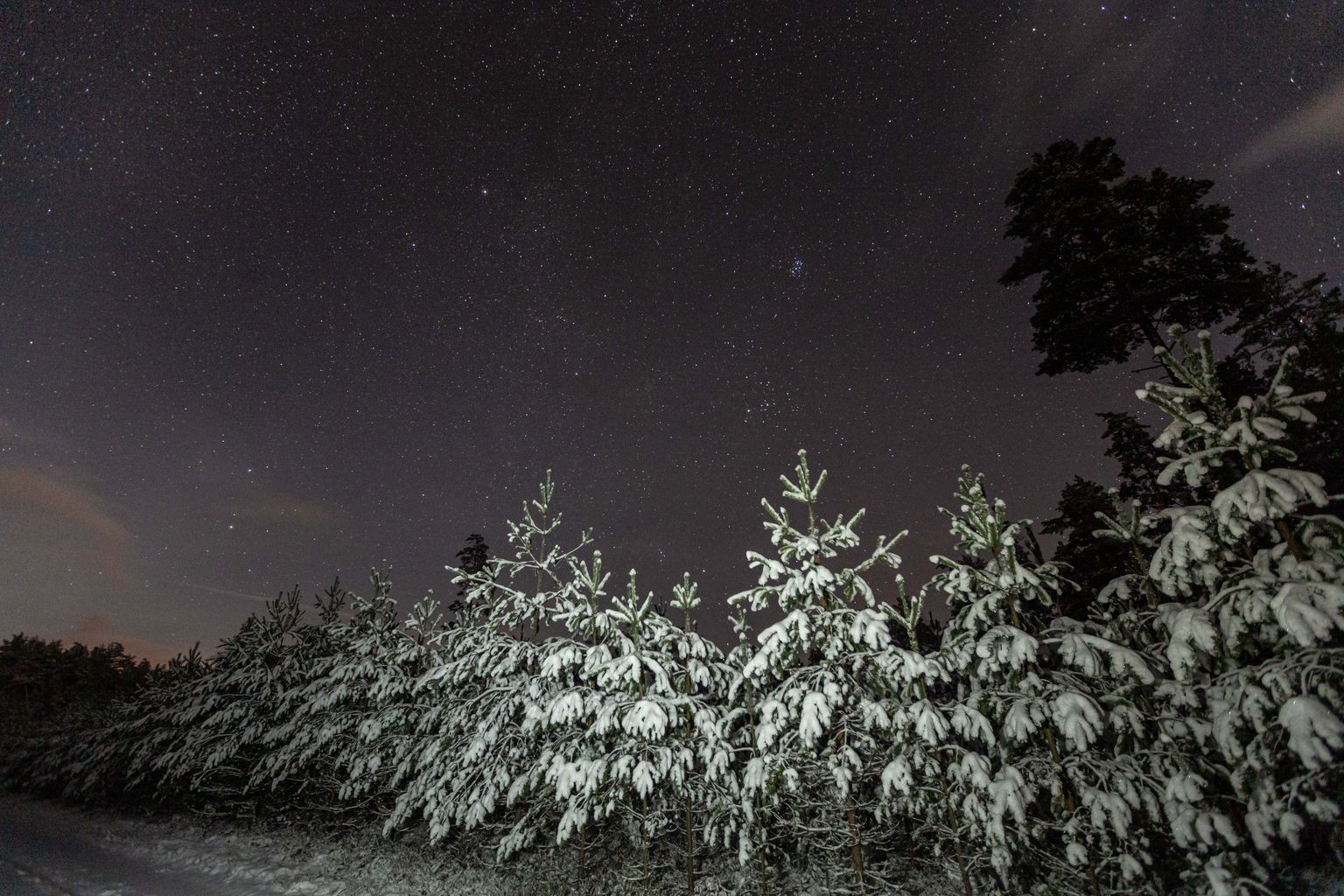 Kui 24. novembril on taevas näha palju tähti, tuleb lumine talv.