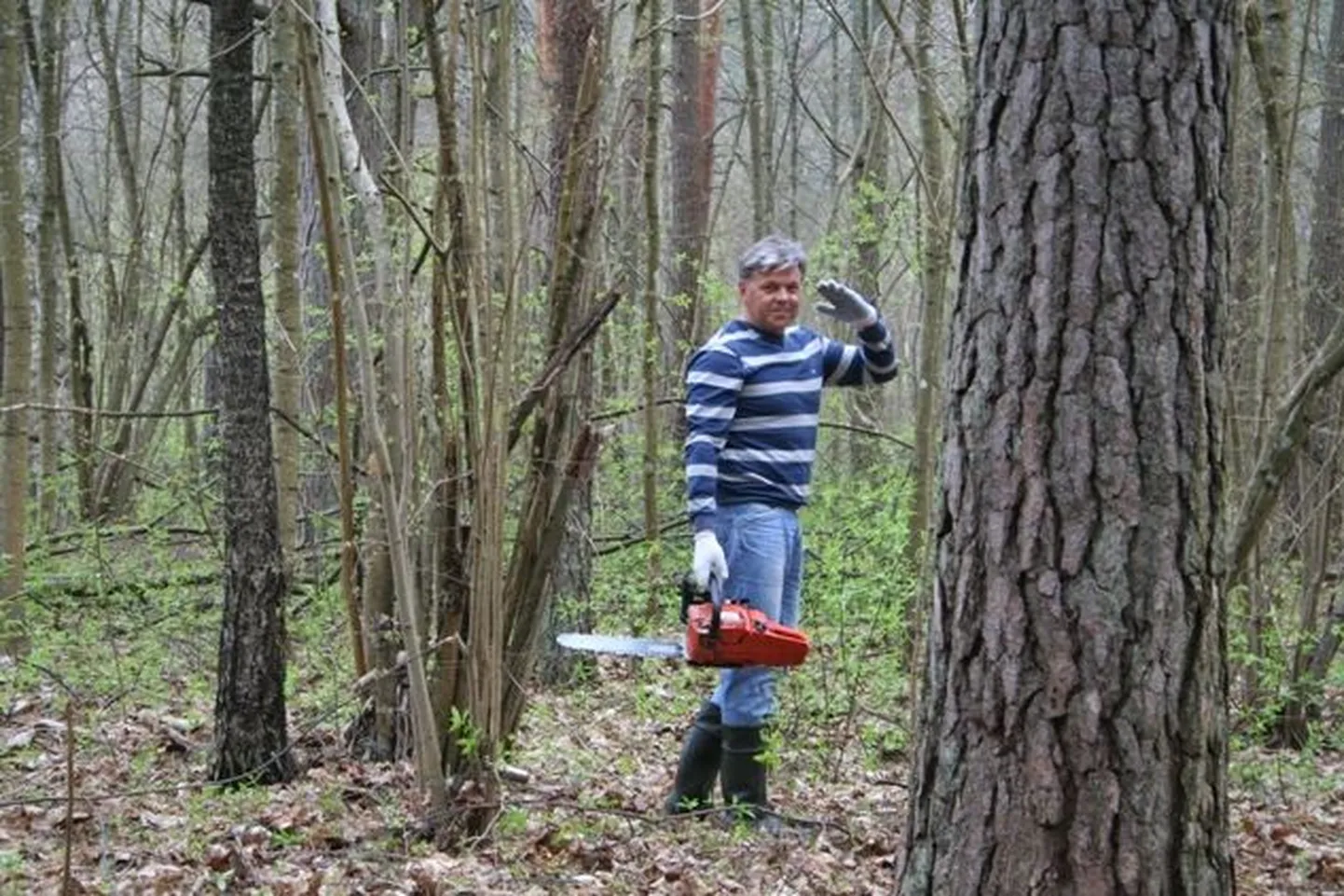 Raksta foto