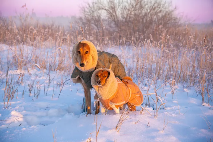 "Kubujussid" Astrid ja Herta