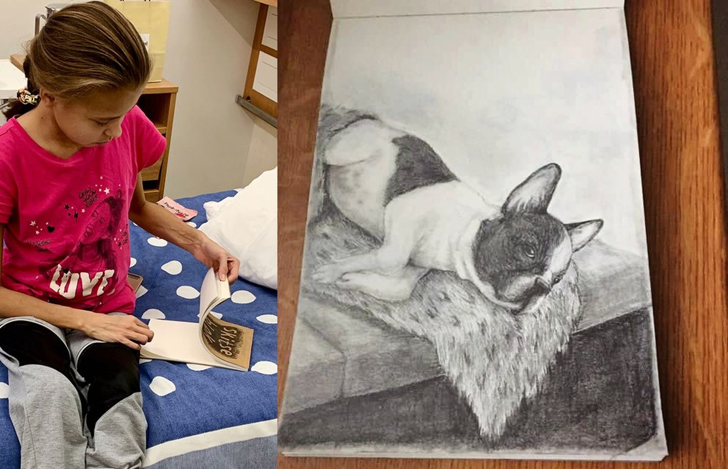 Haiglaravil viibiv Katerina pani oksjonile pildi oma sõbrast, koerast.