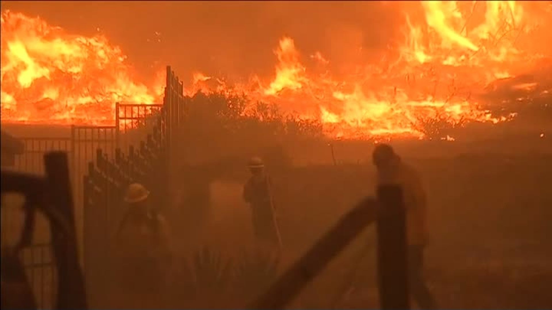 Savvaļas ugunsgrēkā Kalifornijas ziemeļos deviņi bojāgājušie