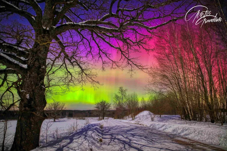 Фото статьи