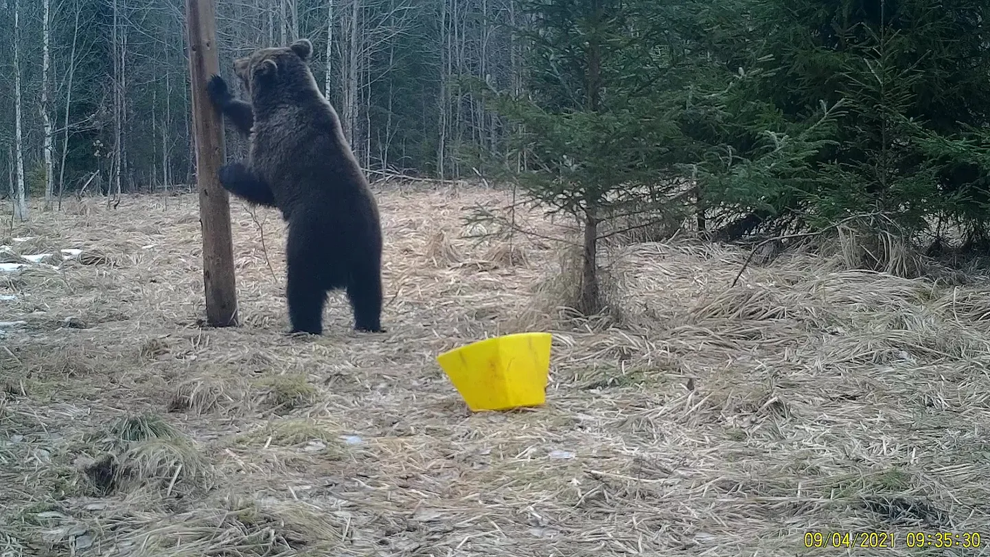 Nurme Kooli rajakaamera