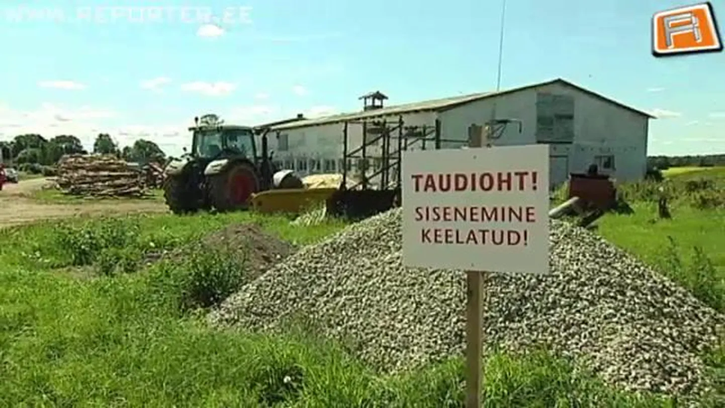 Alustati seakatku nakatunud loomade hukkamist