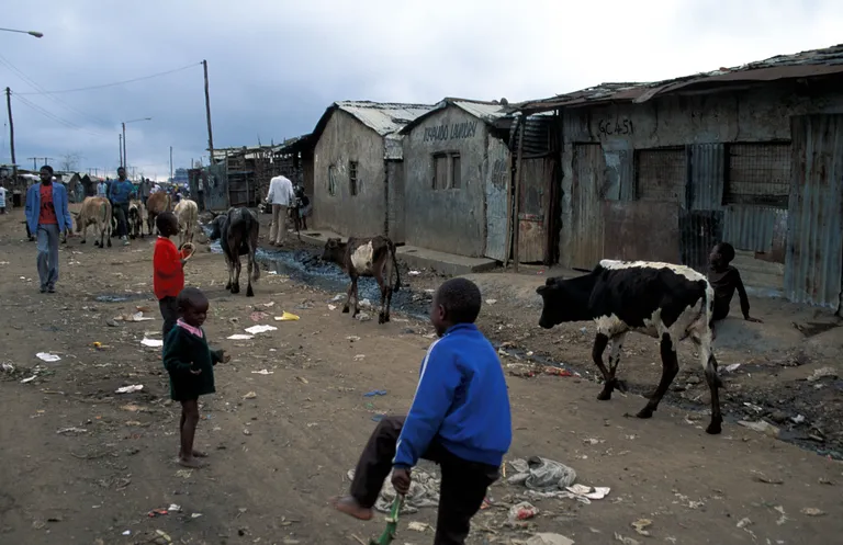 Slumm Nairobis
