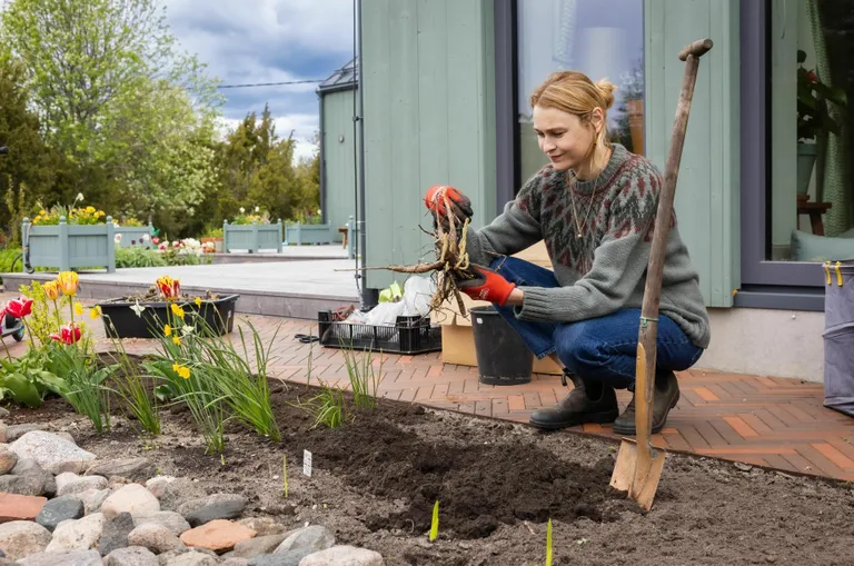 24.05.2025, Kastna. Anni Arro ja Marko Erlach enda Kastna kodus Pärnumaal. Foto Madis Veltman, Postimees FOTO: