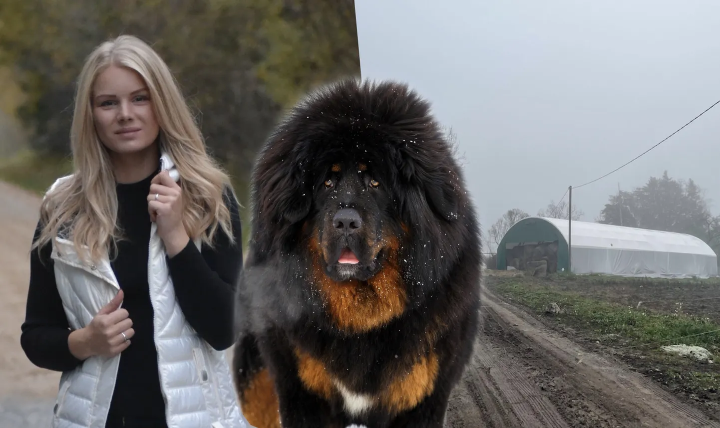 Elu24 kollaaž