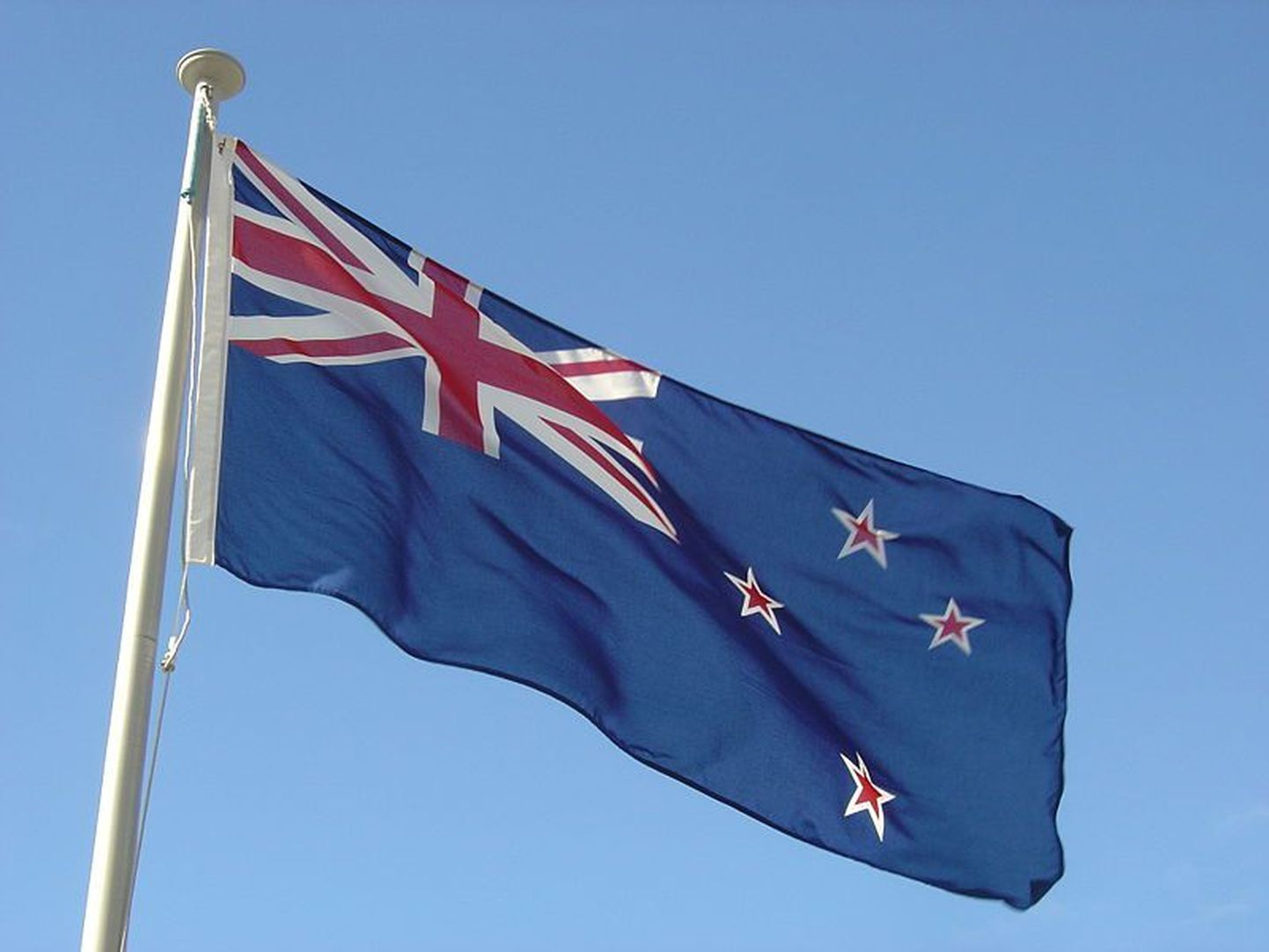 Uus-Meremaa lipp.