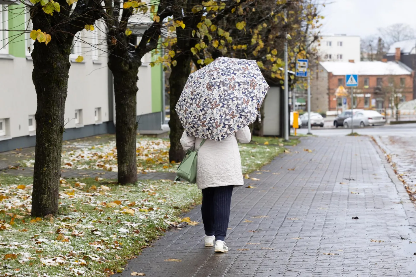 Ööl vastu laupäeva sadas maha esimene lumekiht. Lume- ja lörtsisadu jätkub ka lähiajal.