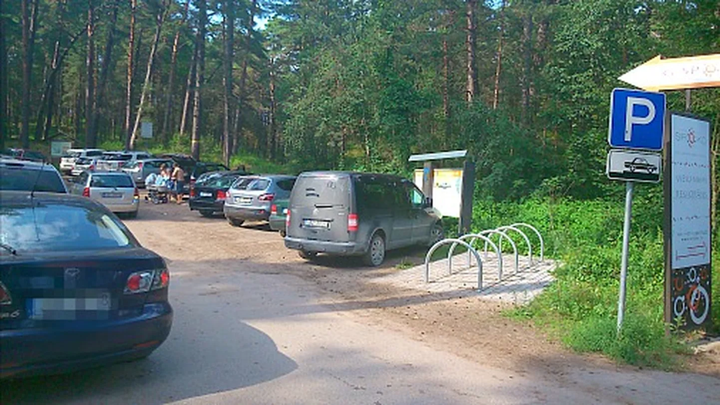 Фото статьи
