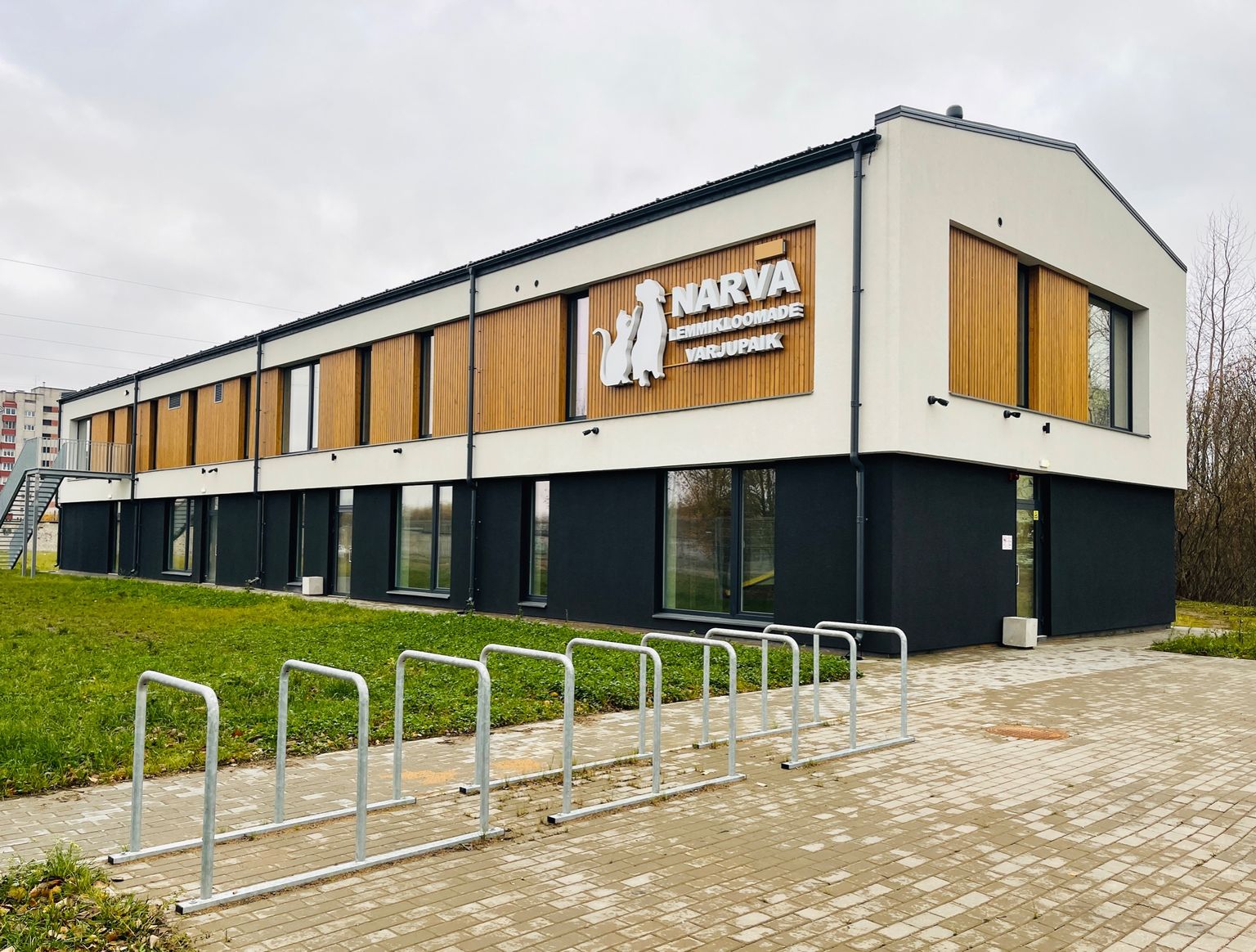 Оператор найден: нарвский приют для бездомных животных скоро откроется