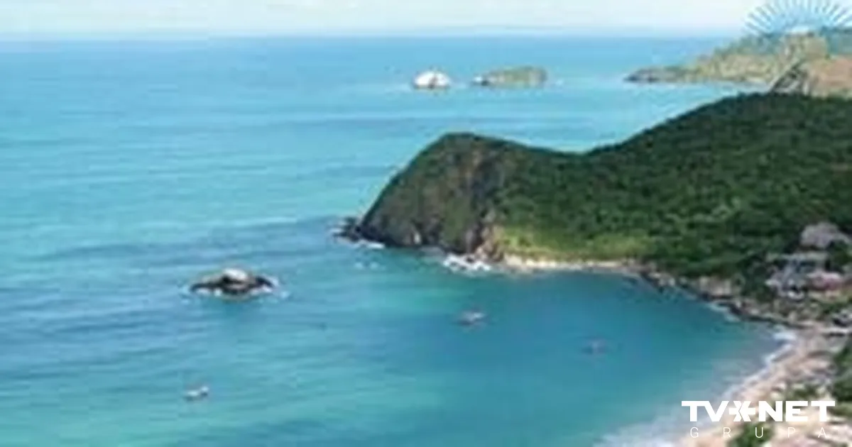 Үйсіз-күйсіз әйел өз мысығын көрсетті