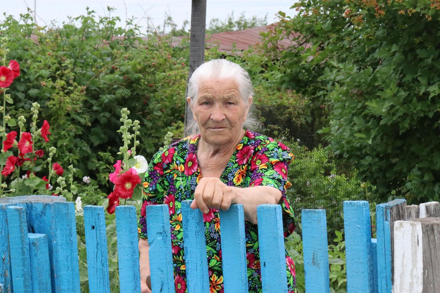 Enamuse elust Rõžkovo eesti-soome-läti külas elanud Elsa Jaanus on kui küla saatuse kehastus: elanikud lahkuvad siit sugulaste juurde linna või kalmistule. Lapselapsed viivad Elsa järgmisel nädalal Omskisse elama. Tagasi ta enam tule, isegi suveks mitte.
