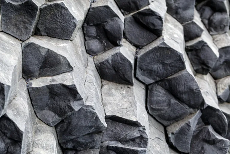 Basaldist daikid