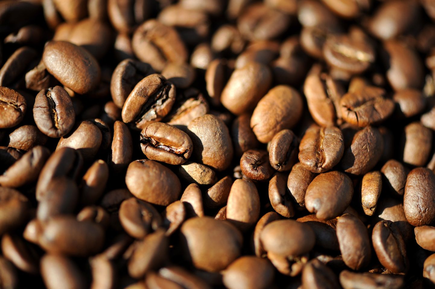 Kasutatud kohvipuru suunab Paulig biogaasi tootmisesse.