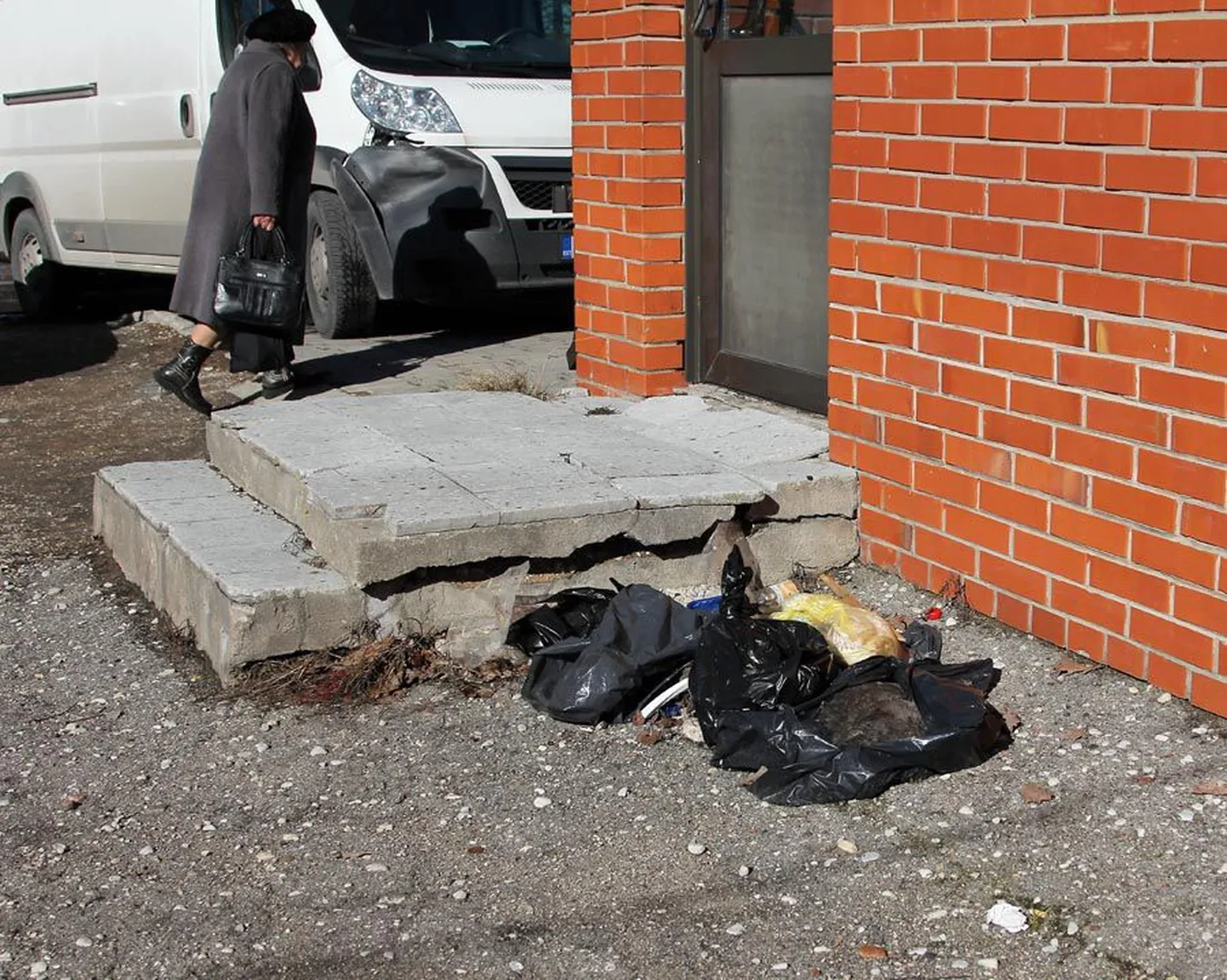 Turu värava kõrval asuva tühja maja ääres vedeles katkises prügikotis kassi korjus.