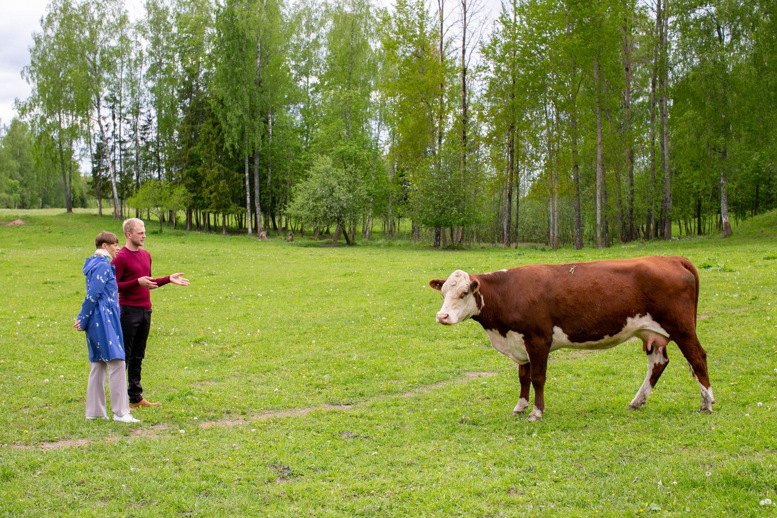 President külastas Valga vallas Lüllemäe lähistel loomakasvatusega tegelevat Mooratsi talu