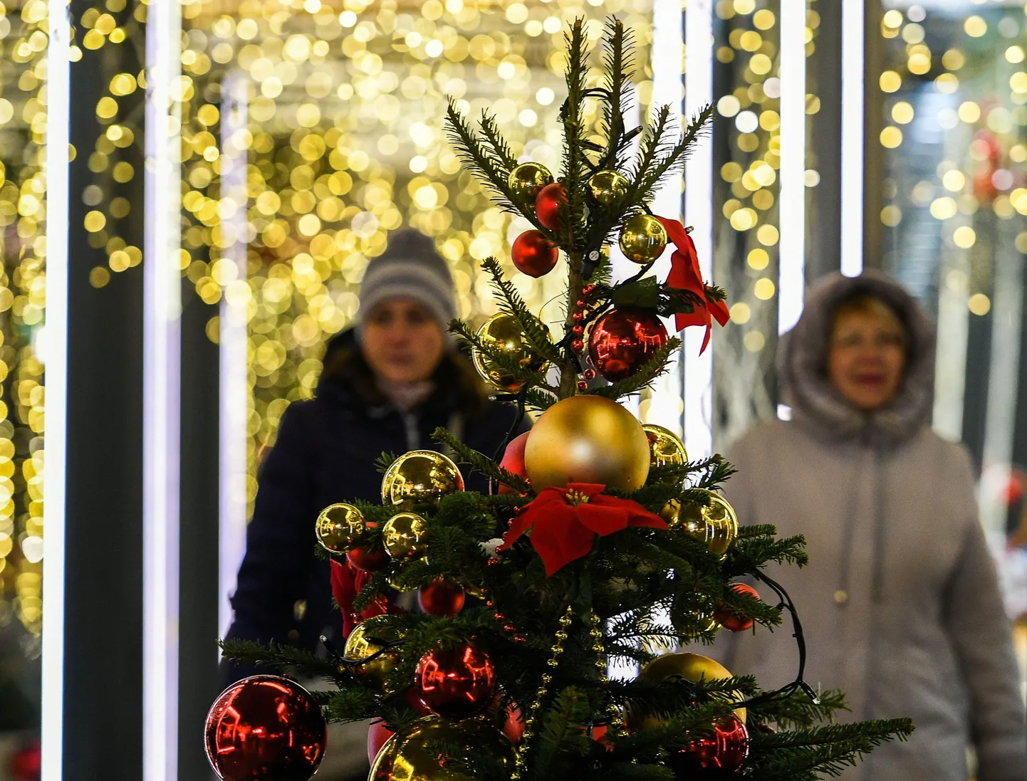 Фото статьи