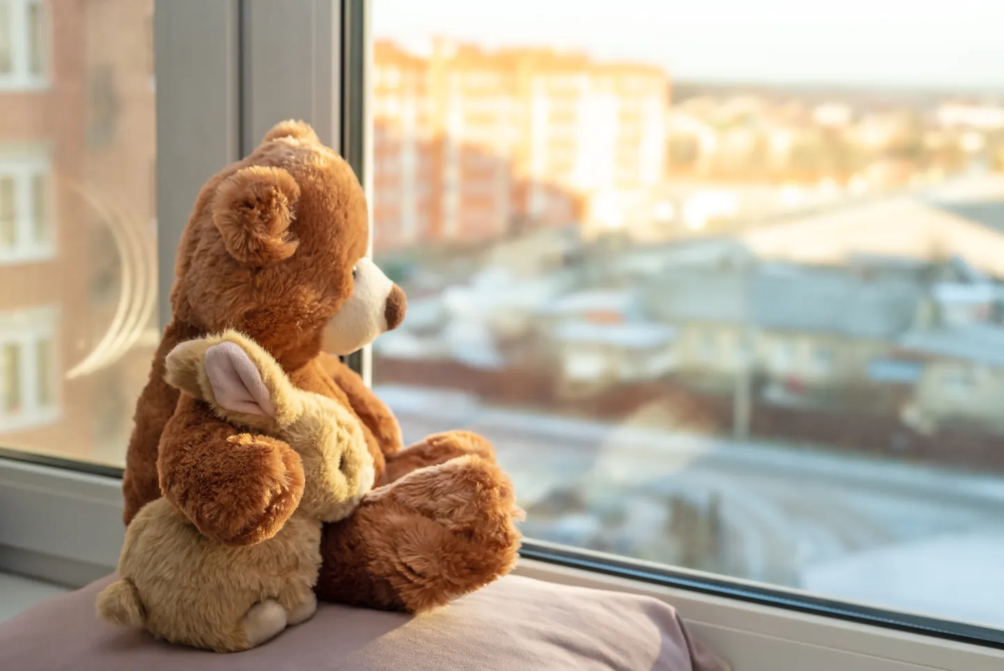 Raksta foto