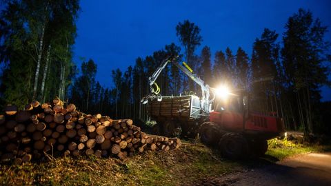 Riigi ebamäärasus on sundinud metsatehnika turu pausile