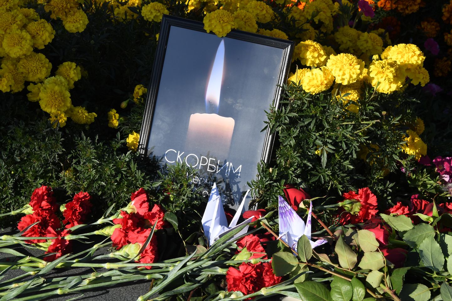 Люди приносят цветы к месту трагедии в Керчи.