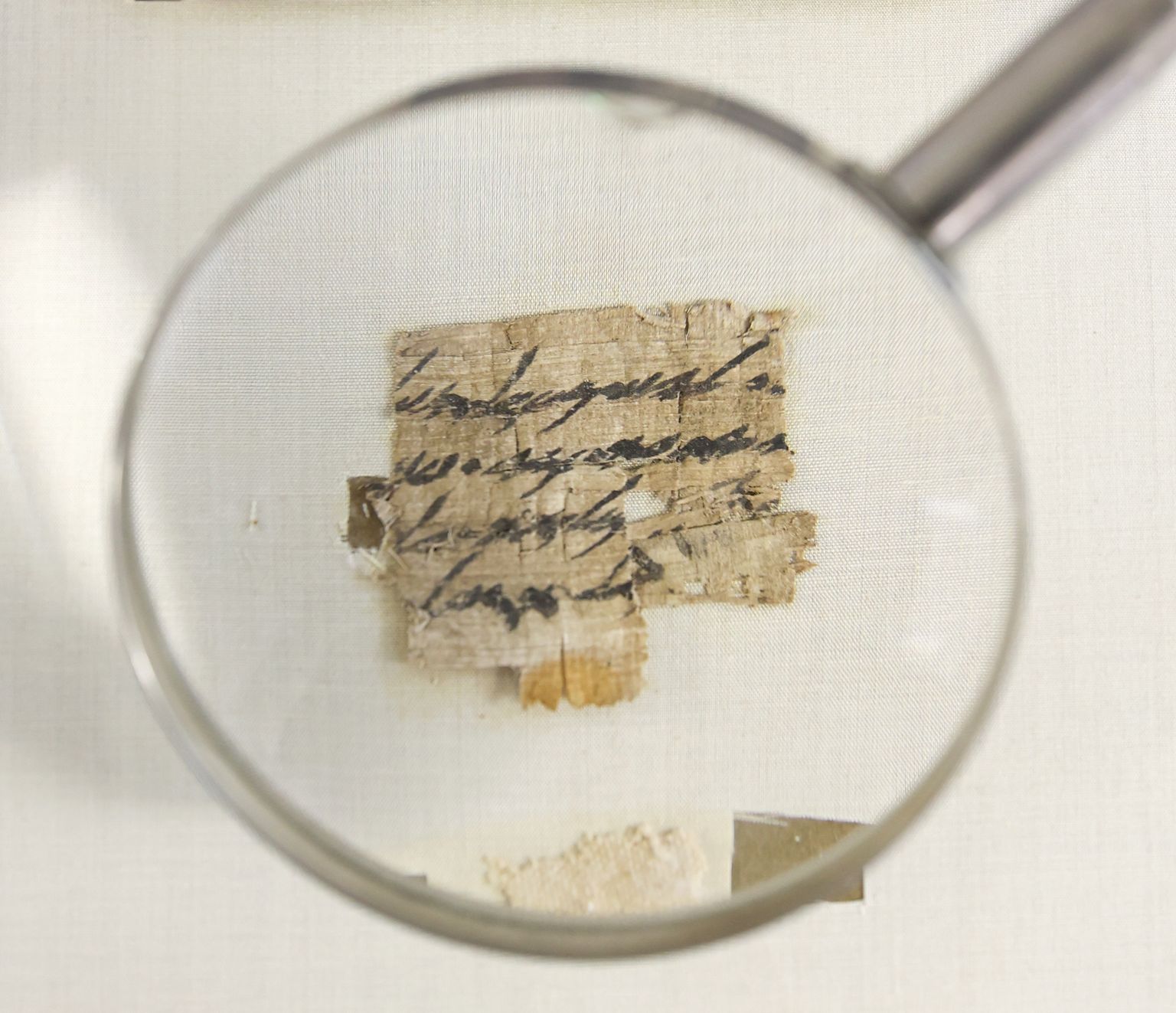 Iisraeli muinsusameti konservaator Tanya Bitler näitab ülimalt haruldast papüürusesedeli fragmenti, mis on pärit rauaajast.