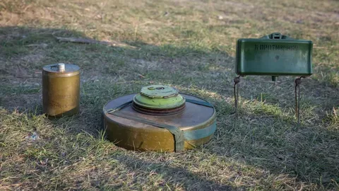 Latvija izstopila iz Ottawske konvencije o prepovedi protipehotnih min