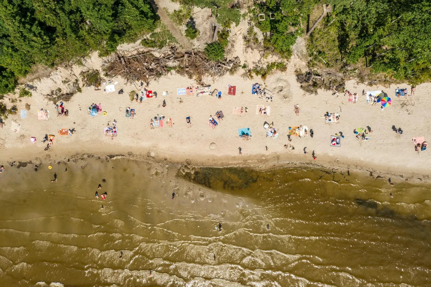 Pärnust hakkab Valgeranda taas käima linnabuss.