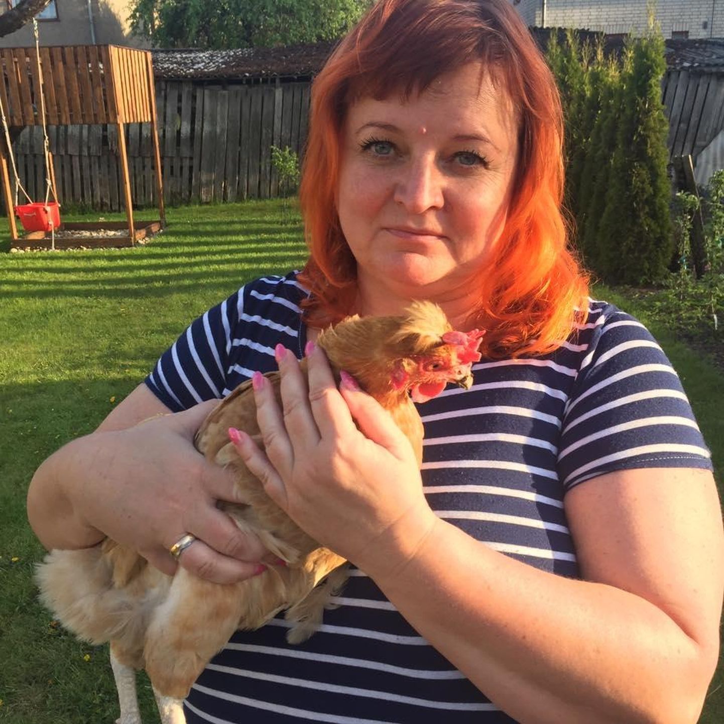 Viljandi abilinnapea Janika Gedvil nentis, et kaks aias toimetavat kana teevad palju rõõmu nii lastelastele kui ka sõpradele.