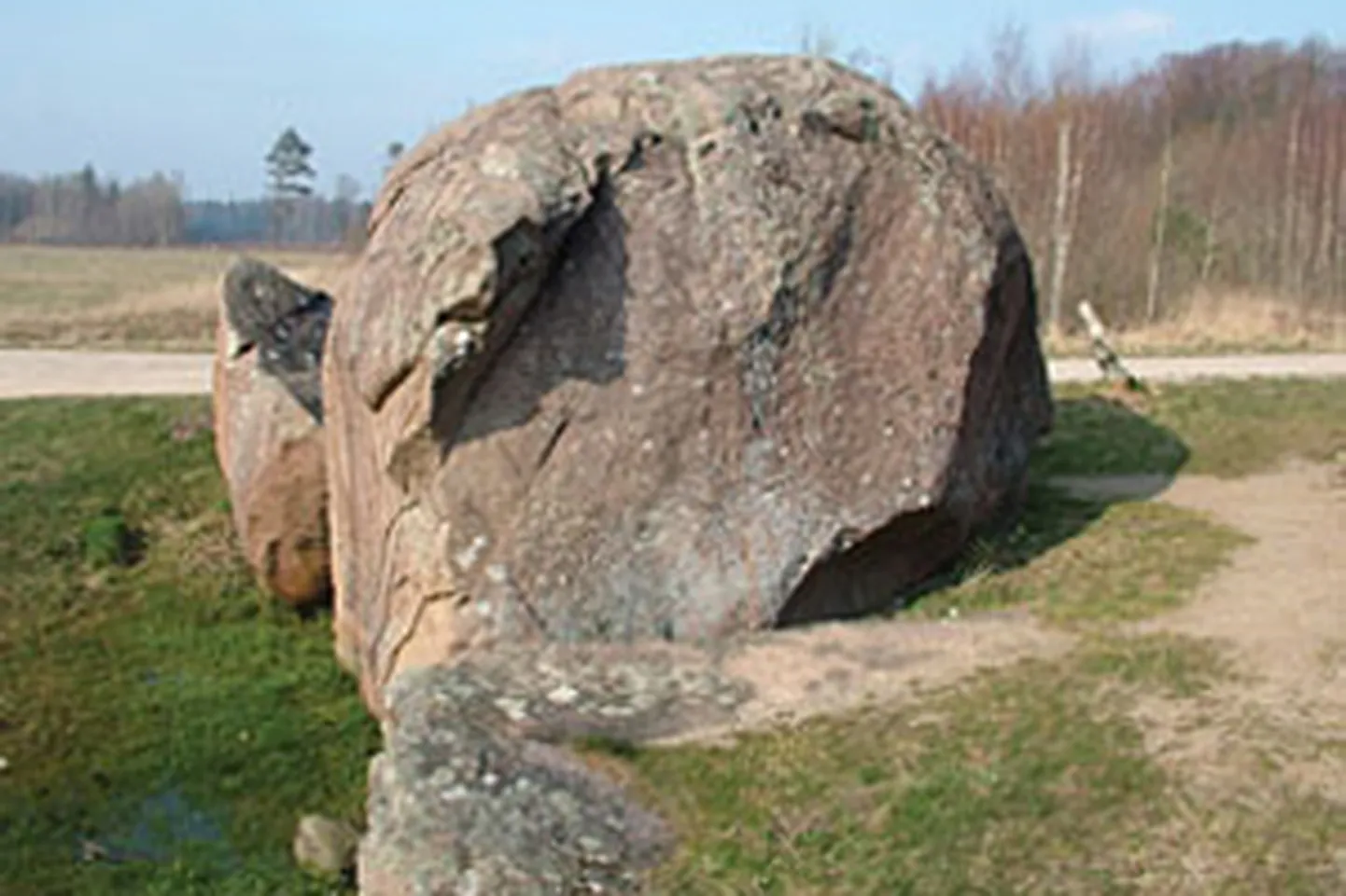 Raksta foto