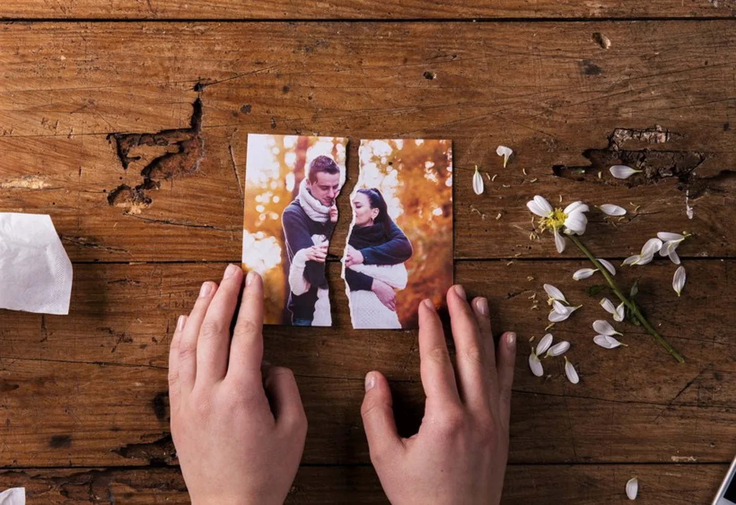 Artikli foto