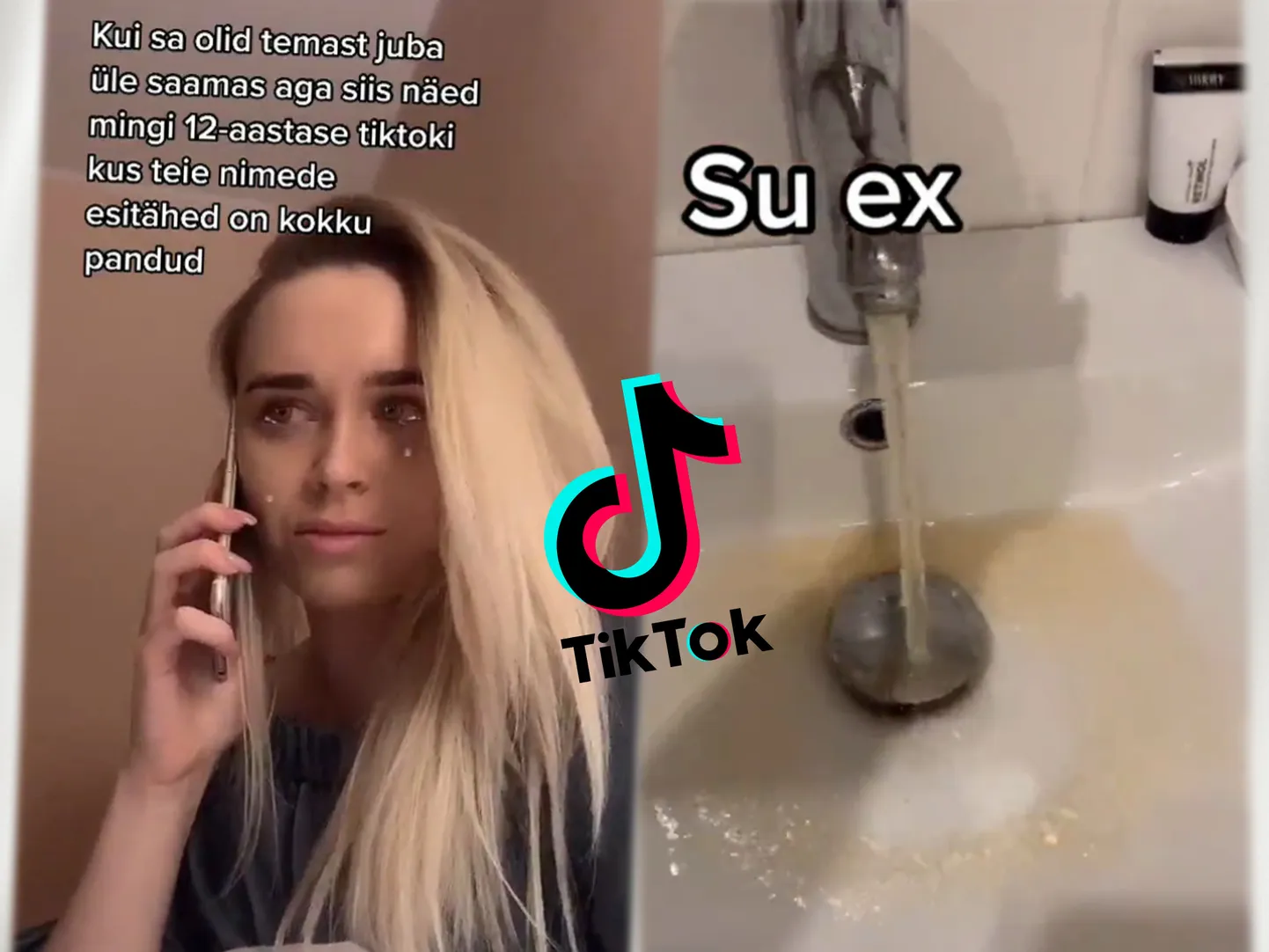 Desiree tiktokid ajavad fänne segadusse.