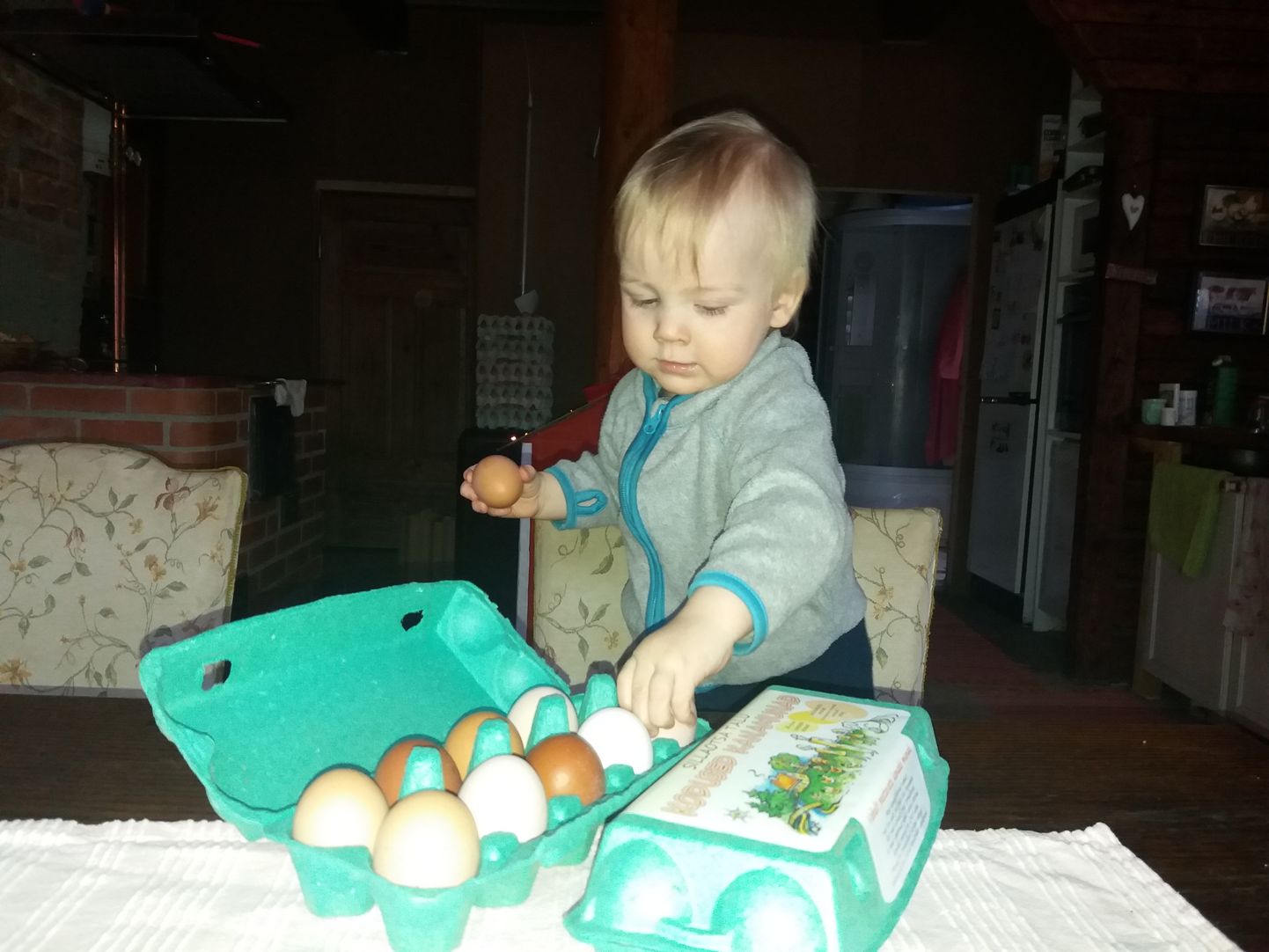 Üheaastaseks saanud pere pesamuna Otto Maru teab imehästi, mida kanamunadega teha tuleb: kops-kops.