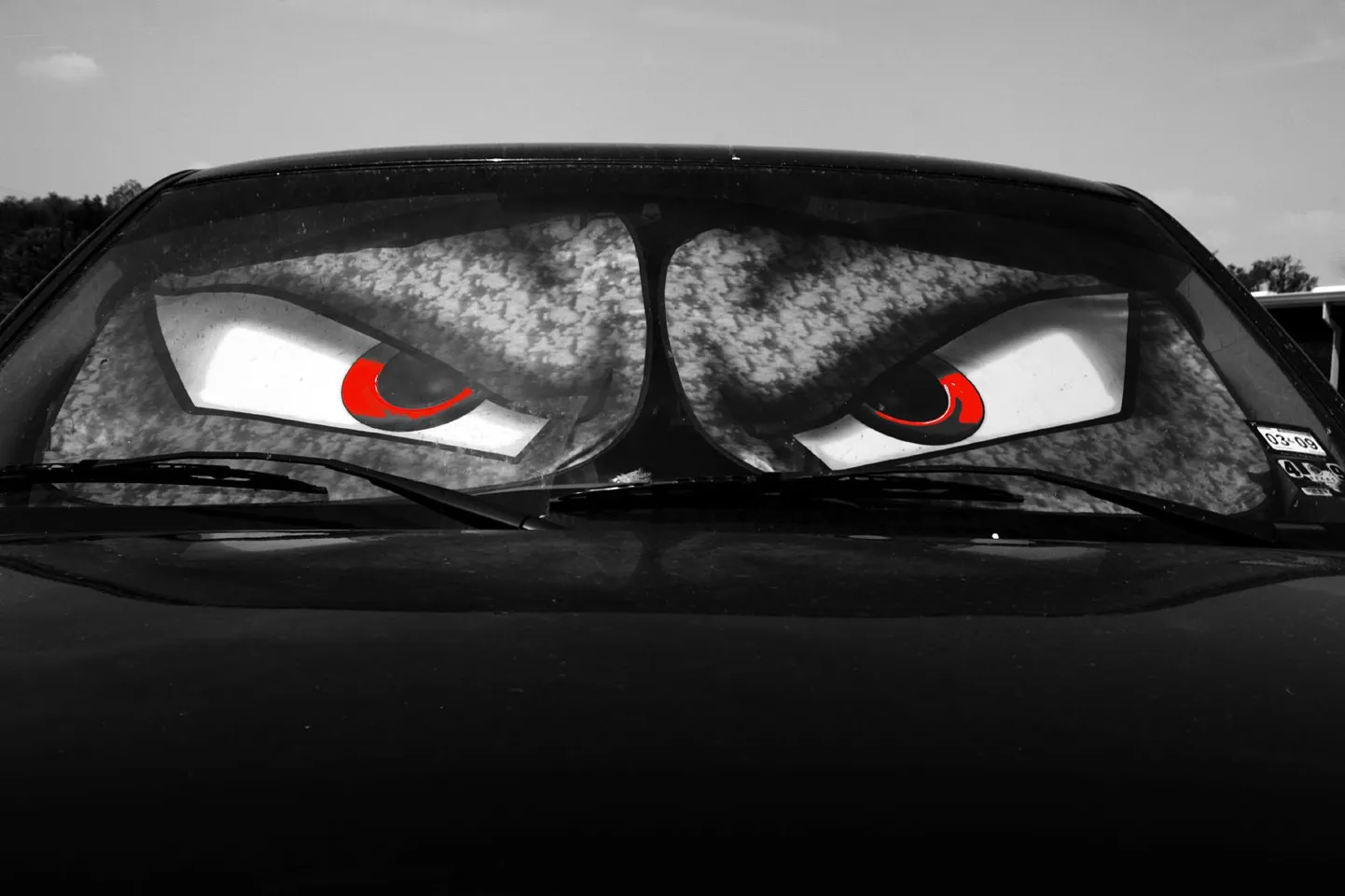 Raksta foto
