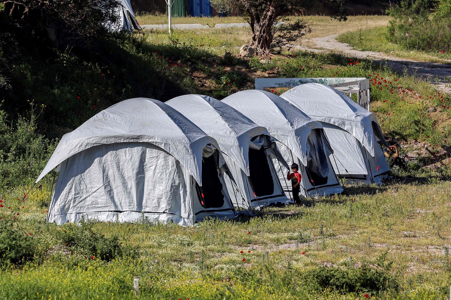 Põgenikelaagri telgid Kreeka Lesbose saarel 13. mai 2020.