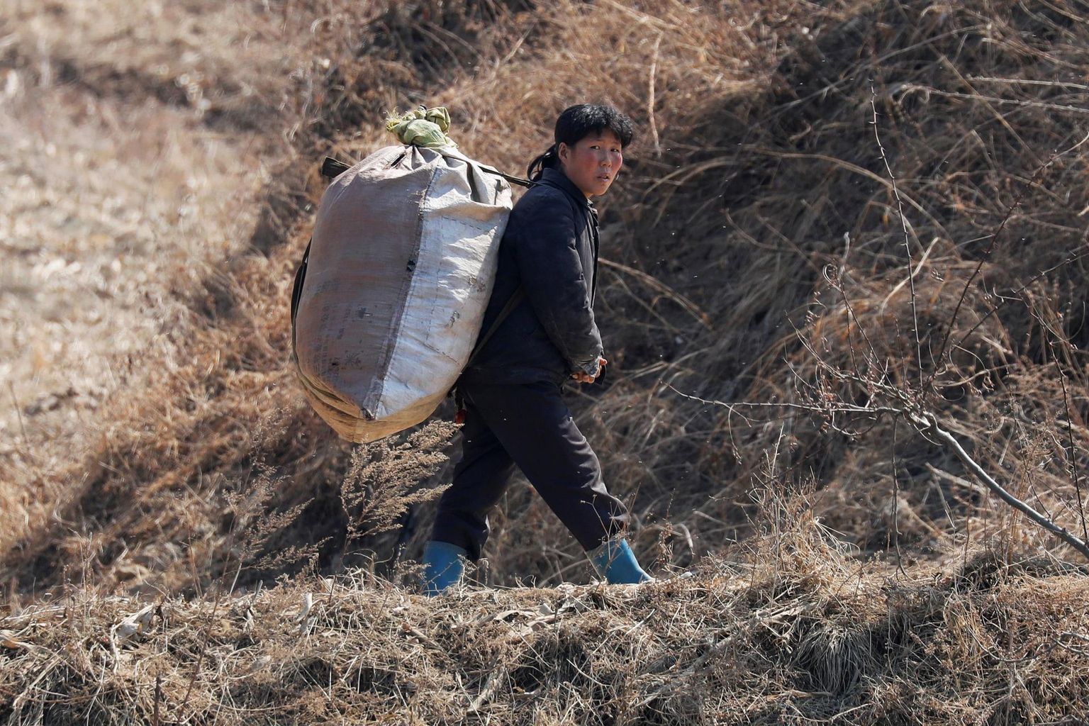 Sel aastal on Põhja-Koreas oodata aastakümne kõige kehvemat saaki. Pildil naine Hiina piiri lähedal Sinŭiju piirkonnas põllutööl. 