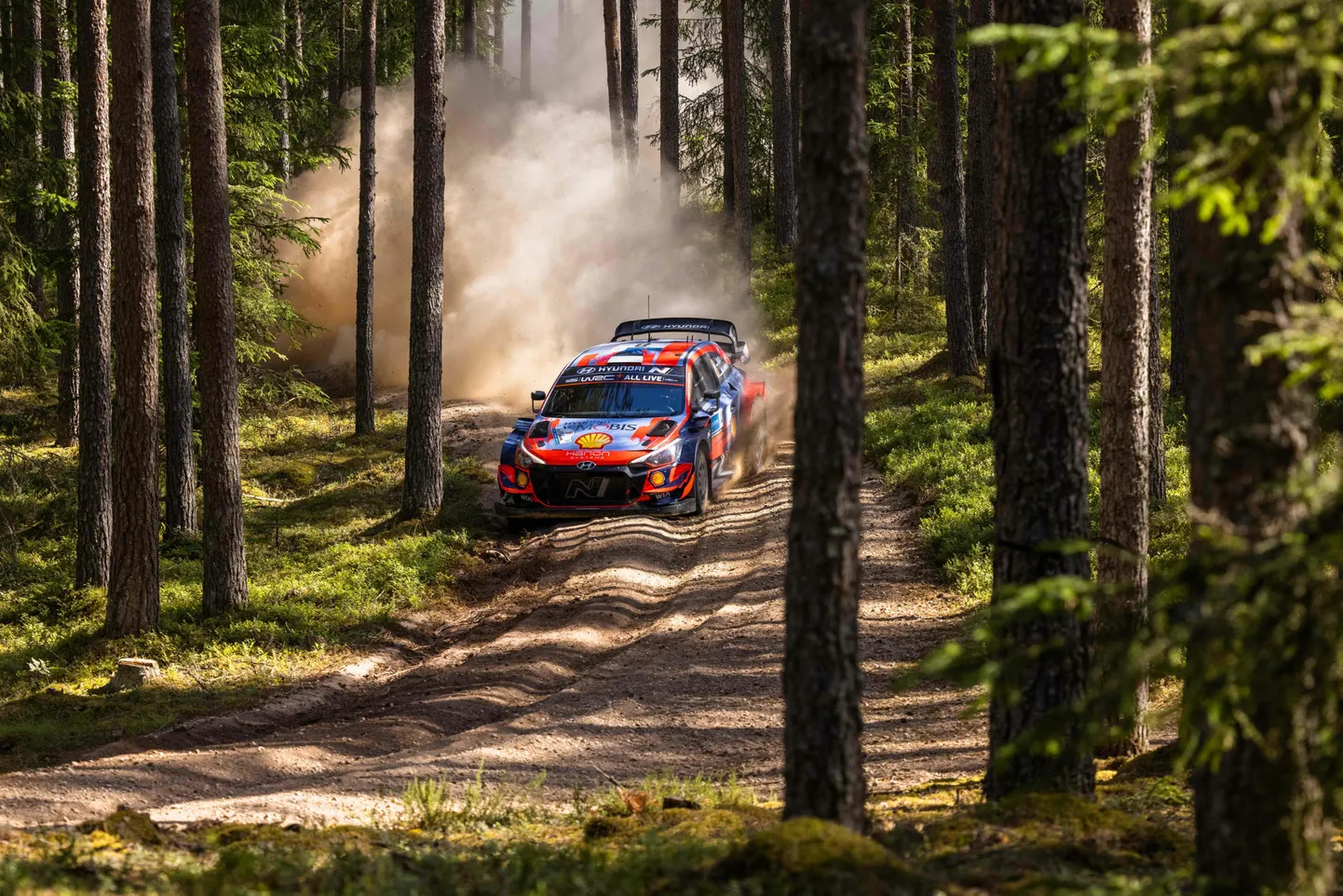 Just Peipsipoolsetel katsetel otsustati mullu Rally Estonia saatus. Tänavu on nende teede puhul aga veelgi vinti juurde keeratud.