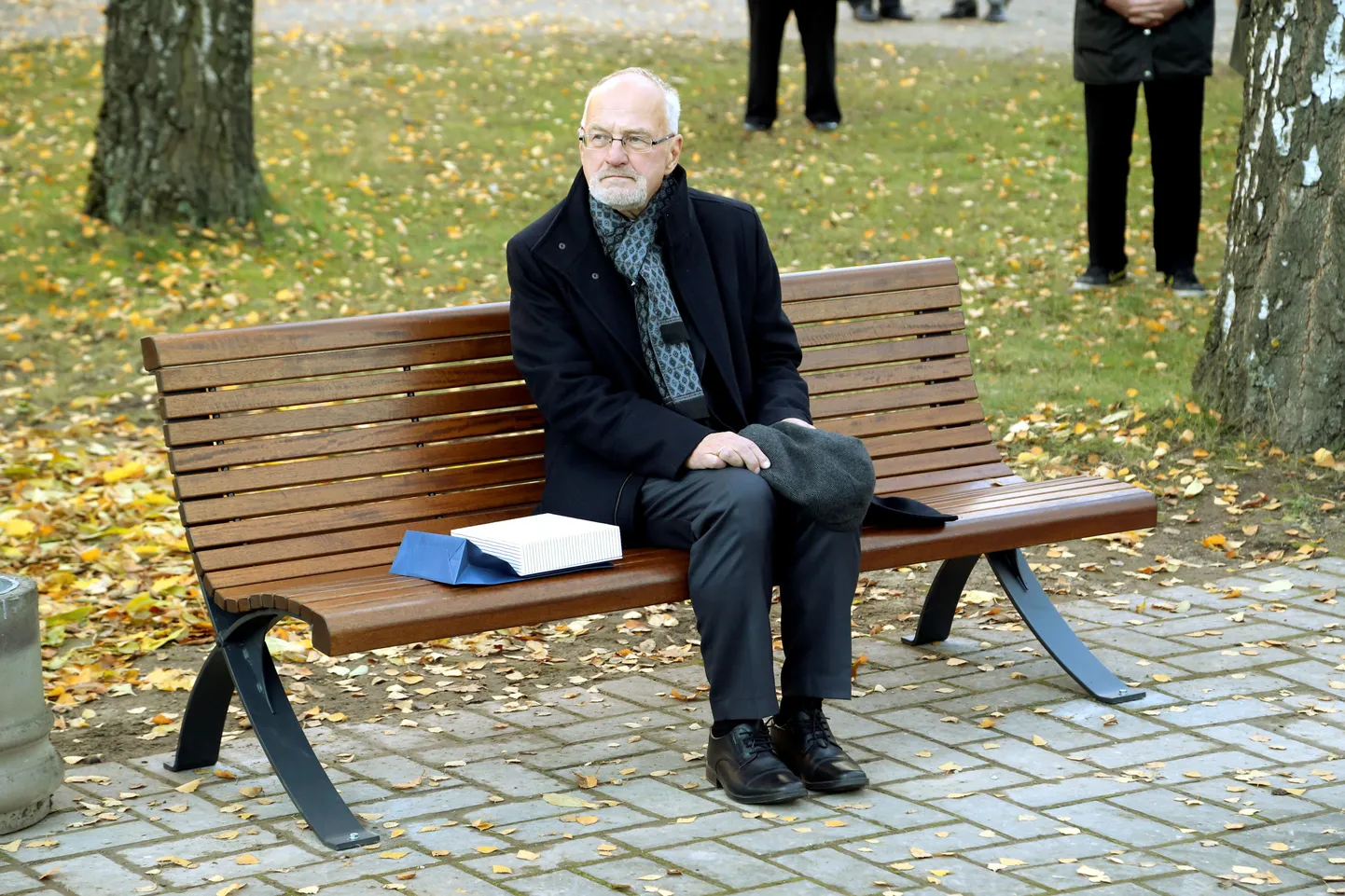 Peeter Tulviste (28. oktoober 1945 Tallinn – 11. märts 2017) 70. sünnipäeva puhul avati täpselt kaks aastat tagasi, 28. oktoobril 2015 Toomemäel temanimeline pink.