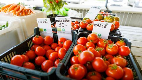 KATRIN TAMM ⟩ Kodumaine toidutööstus püsib kahel sambal