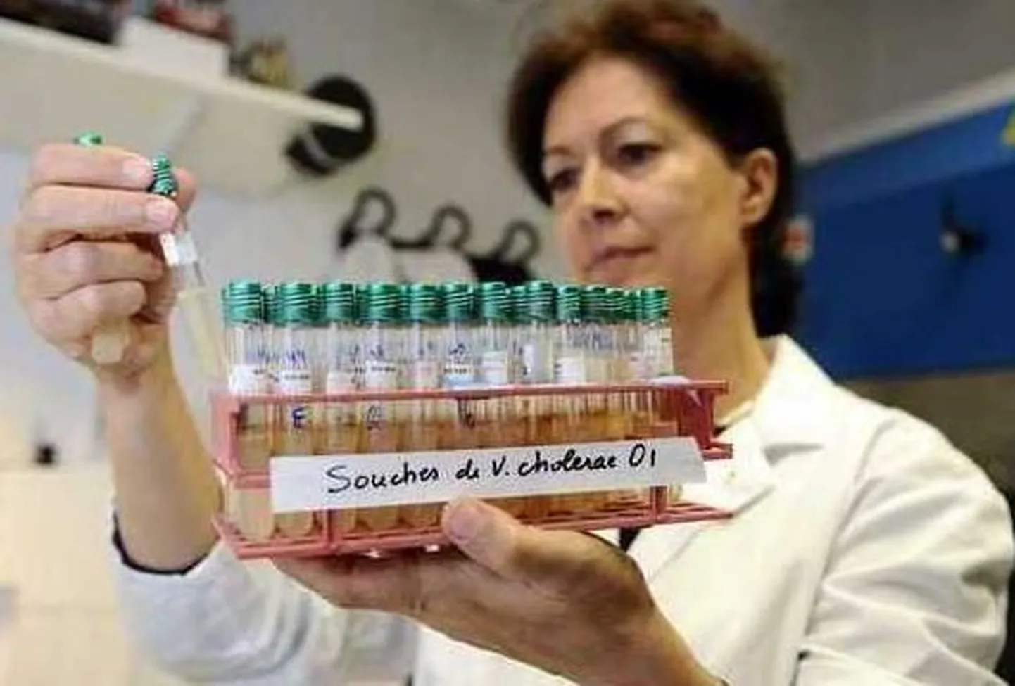 Floridas ja Dominikaani Vabariigis registreeriti koolerajuhtum